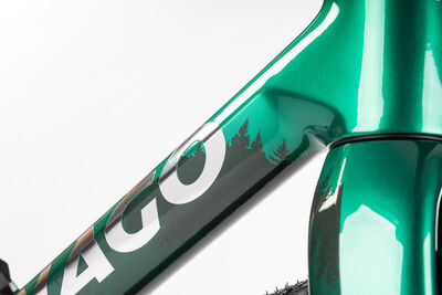 Colnago G4X 1x Carbon Gravel Complete Bike Shimano 822 1x12 Green, Code: Pigr click to zoom image