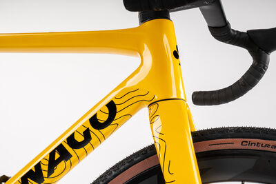 Colnago G4X 2x Carbon Gravel Complete Bike Shimano 820 2x12 Yellow, Code: Mytl click to zoom image