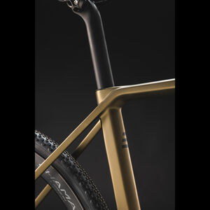 Basso Bikes Palta Disc Ekar 1x13 Shamal Gold Burn Bike click to zoom image