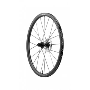 Fast Forward Wheels RAW33 Carbon Clincher Disc Brake Wheelset Pair Disc Brake (Centrelock) 33mm Matte Shimano click to zoom image