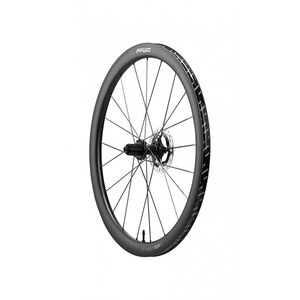 Fast Forward Wheels RAW44 Carbon Clincher Disc Brake Wheelset Pair Disc Brake (Centrelock) 44mm Matte Campagnolo click to zoom image