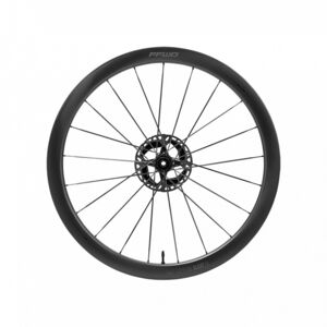 Fast Forward Wheels RAW44 Carbon Clincher Disc Brake Wheelset Pair Disc Brake (Centrelock) 44mm Matte Campagnolo click to zoom image