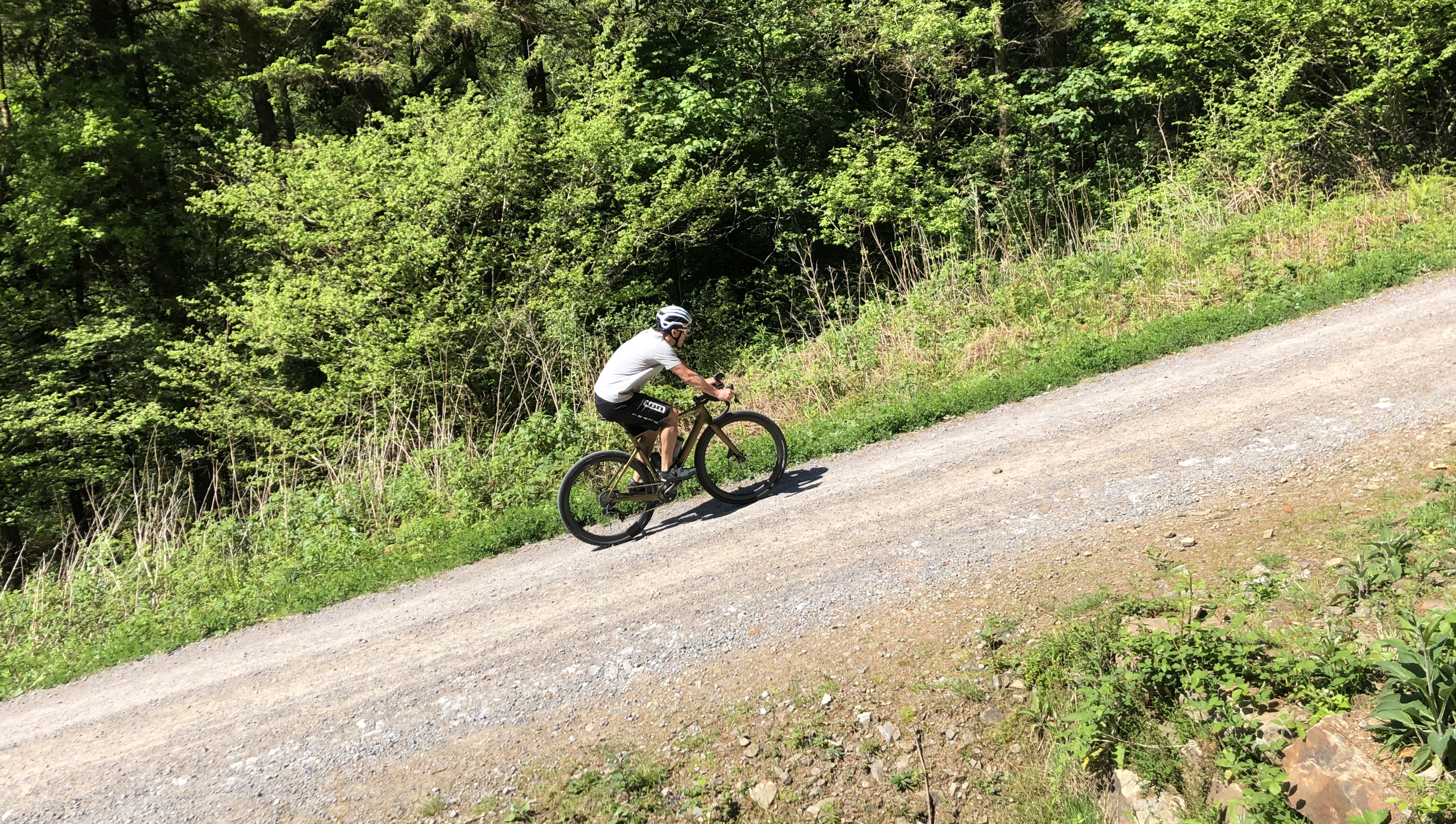Triathlon, TT, Road and Gravel bikes in South Wales